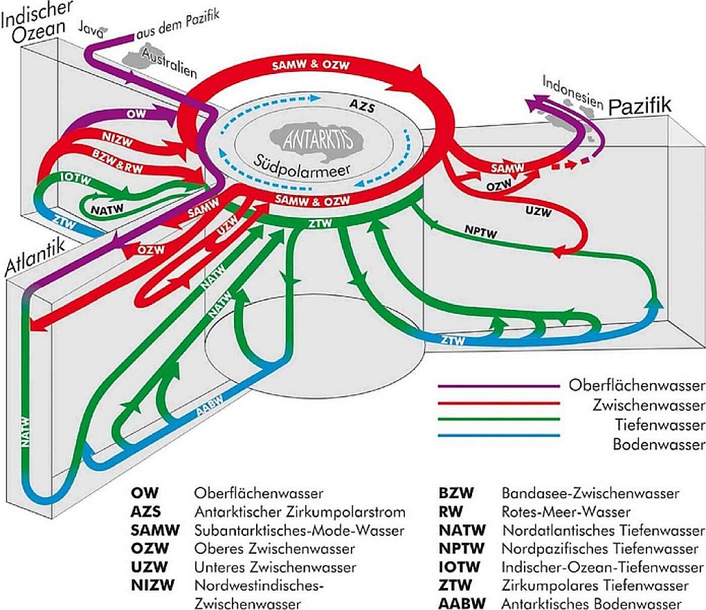 Die globale thermohaline Zirkulation, die als umfassendes Str�mungssystem die Ozeanbecken verbindet und den Einfluss der Ozeane auf das Klima bewirkt