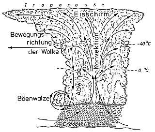 Aufriss einer Cumulonimbuswolke