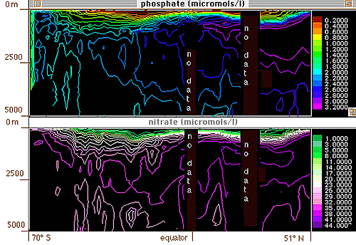 Meriodionalschnitt der Phosphat- und Nitratkonzentration der oberen 5.000 m im Pazifik entlang 170�W