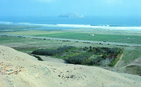 K�stenregion von Pachcamac bei Lima/Peru