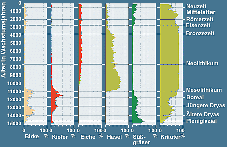 Pollendiagramm aus dem Meerfelder Maar (Eifel) von 15.000 vor heute bis zur Gegenwart