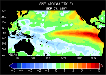 Abweichung der Oberfl�chentemperatur des Pazifiks (SST) in der Zeit von Januar 1997 bis Jan 1998