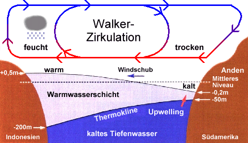 Walker-Zirkulation beim neutralen Zustand des Systems Ozean-Atmosphäre