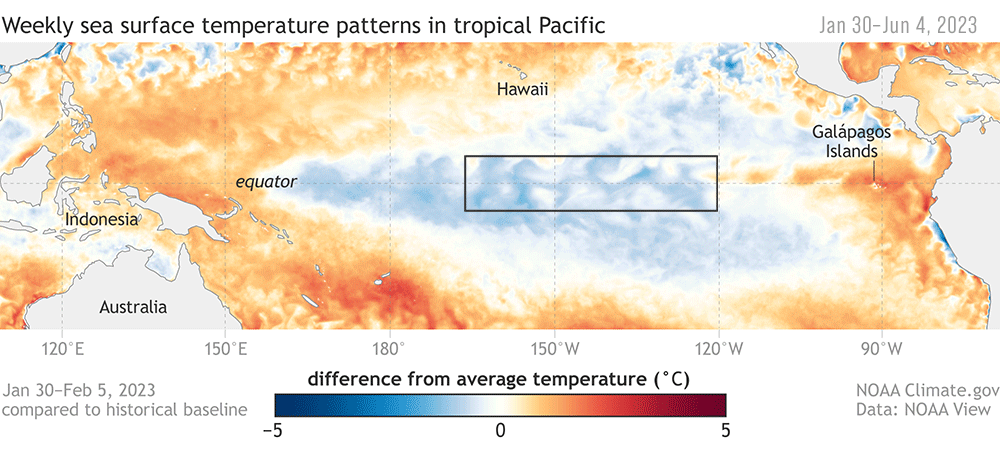 Wöchentliche Muster der SST im tropischen Pazifik