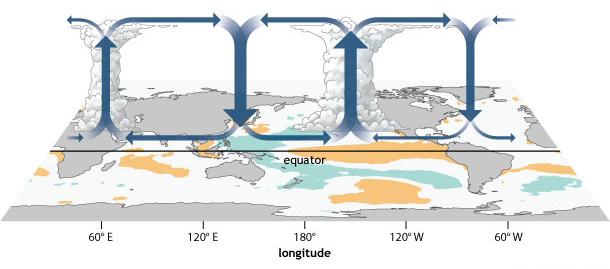 Walker-Zirkulation - El Niño-Bedingungen