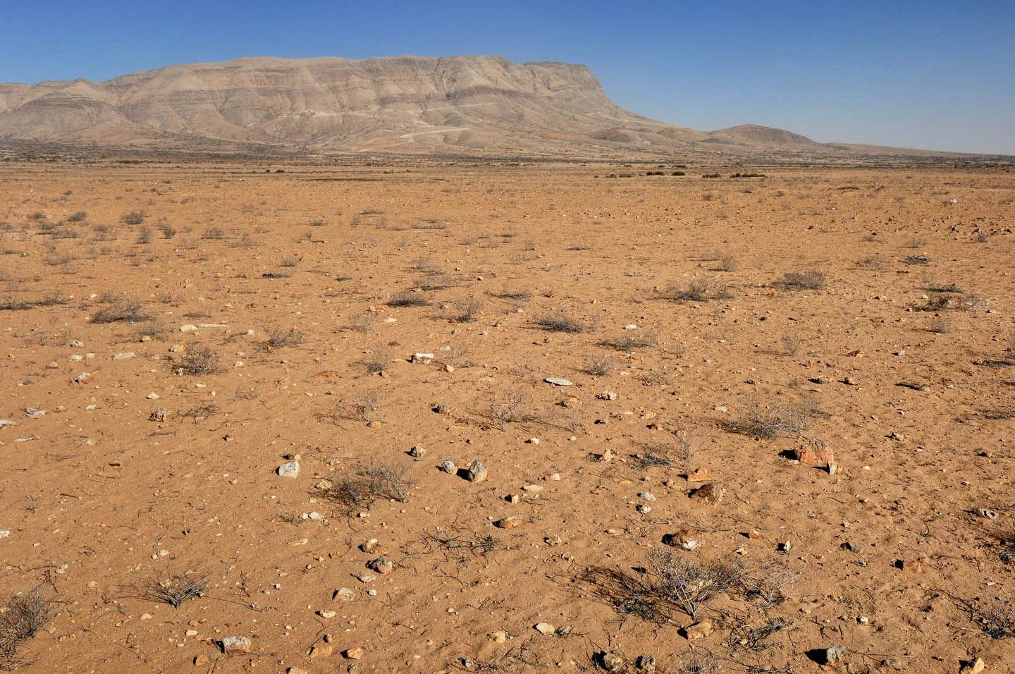 Atacama 2006