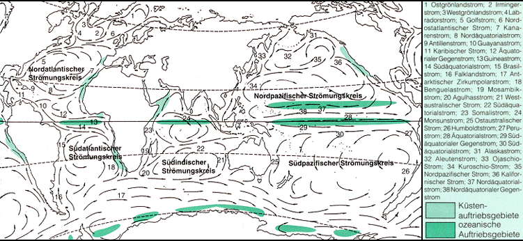 auftrieb1