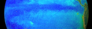 Ozeanfarbe am Äquator im Ostpazifik im Januar 1998 (El Niño): kaum Chlorophyll