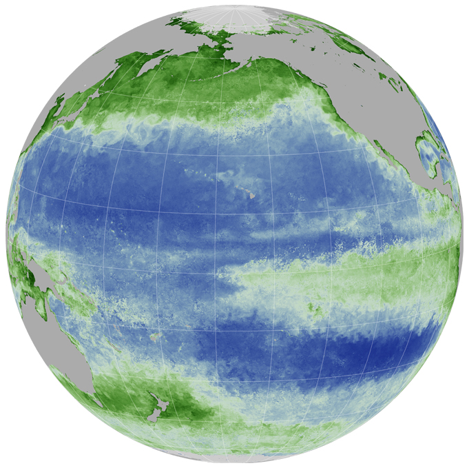 El Niño Disrupts the Marine Food Web - October 2015