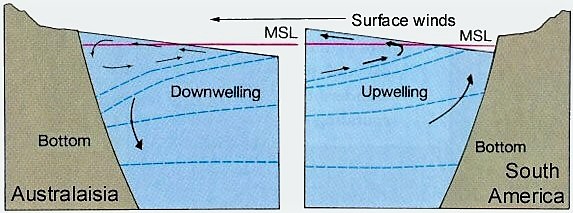 downwelling