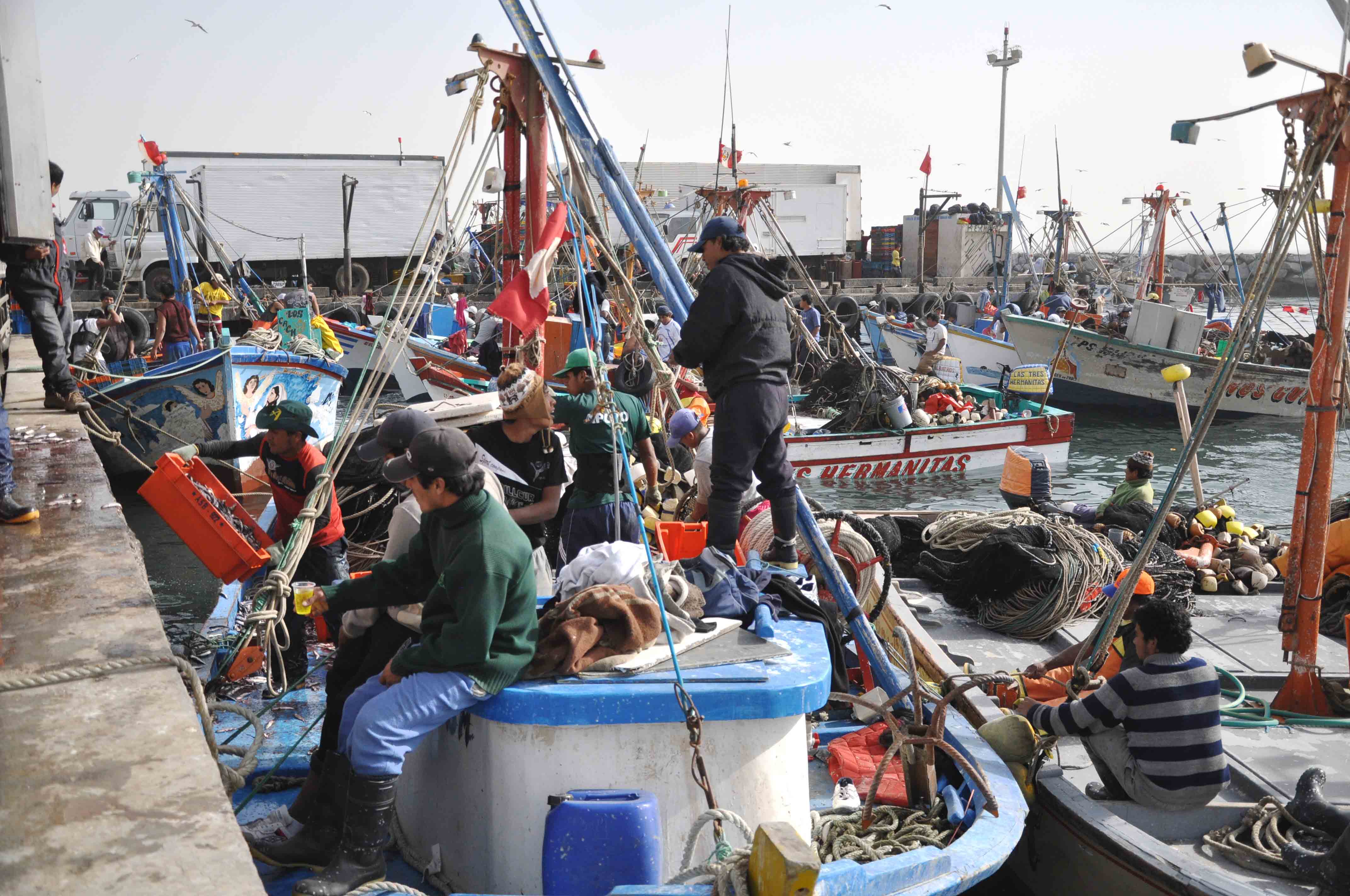 Sardellenfischer beim Entladen in einem Hafen bei Pisco (Peru)