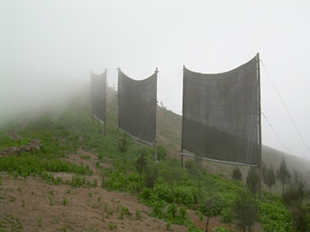 fog-harvesters-screens