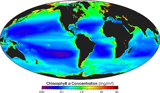 global_chlorophyll
