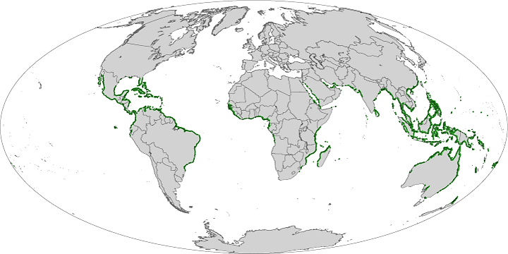 Mapping Mangroves by Satellite