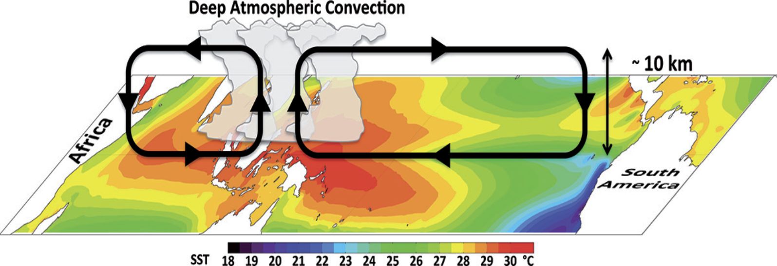 Meeresoberflächentemperaturen im Indo-Pacific Warm Pool (IPWP)