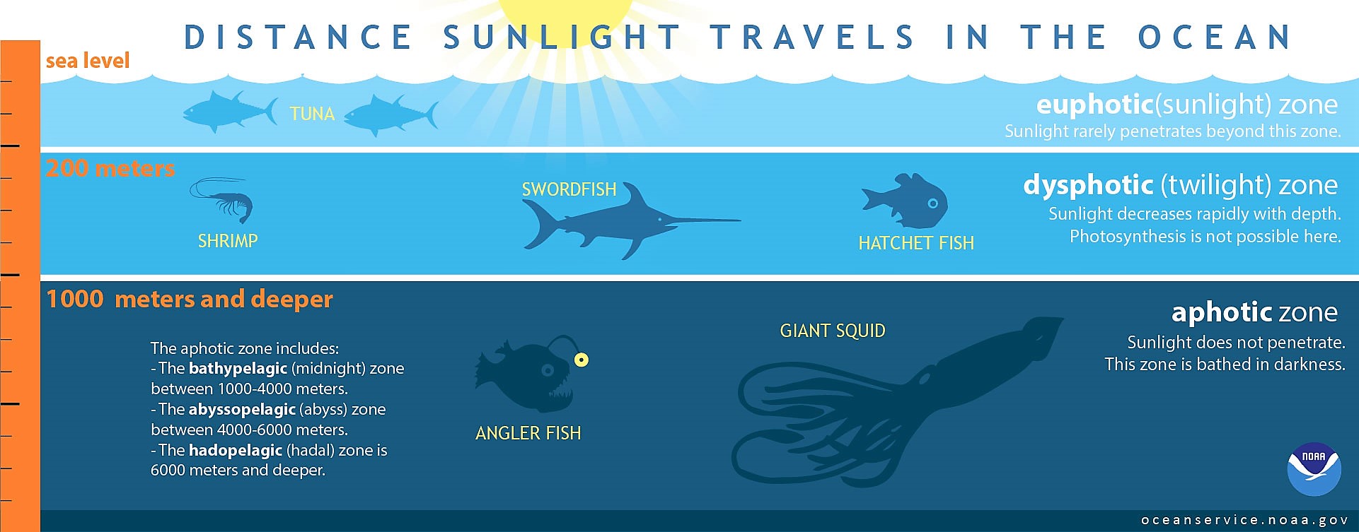 How far does light travel in the ocean?
