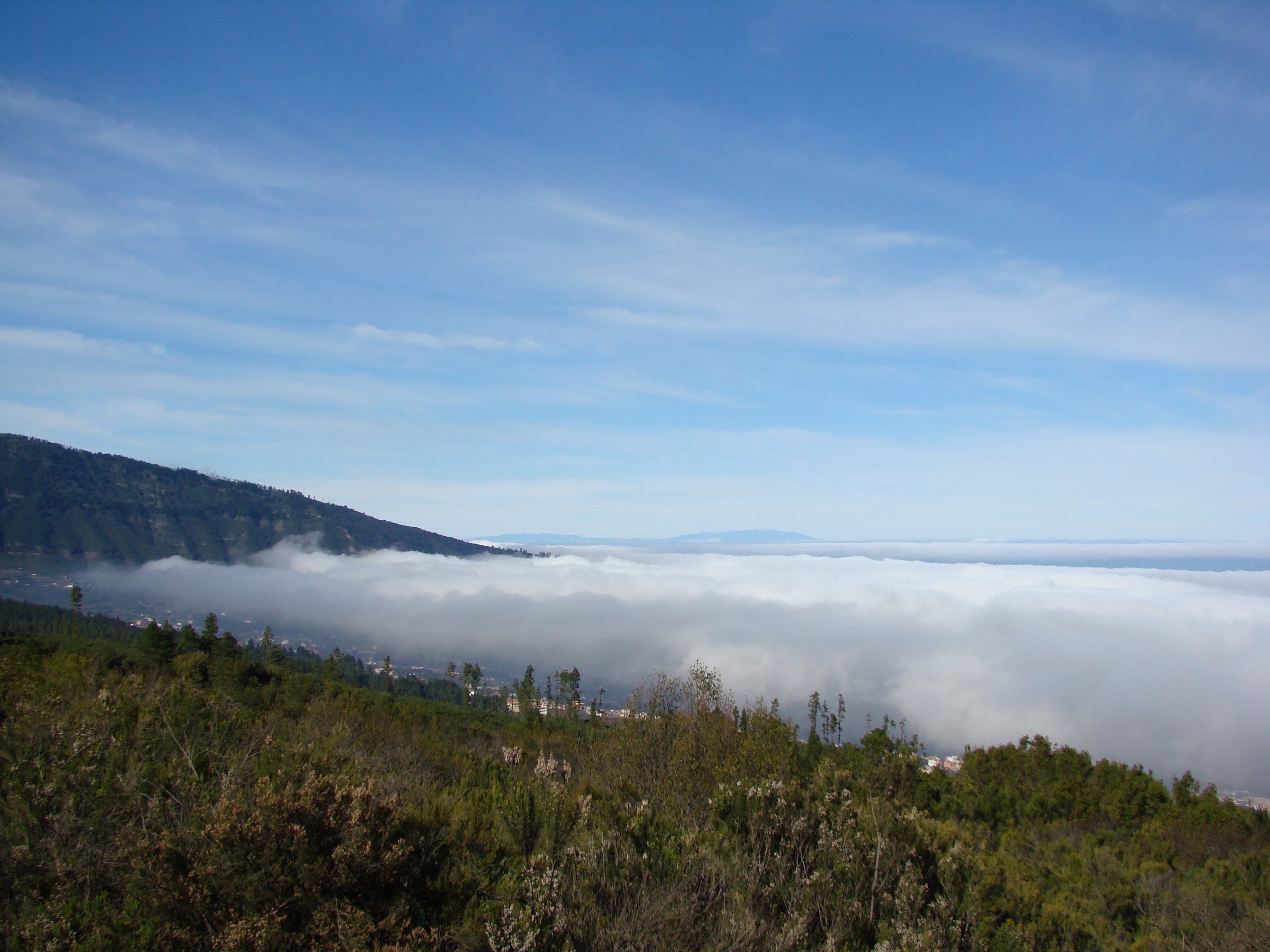 Oberseite von Passatwolken im Norden von Teneriffa